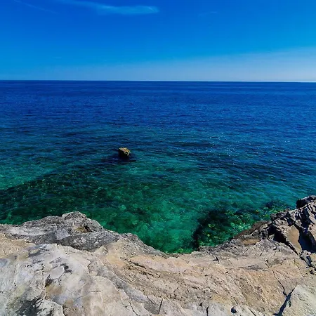 Zora & Natale * פולה